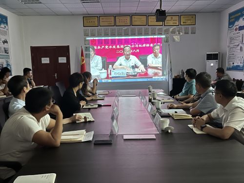 【河海水文】水發(fā)水控集團(tuán)黨委委員、紀(jì)委書記王高升到河海公司全面從嚴(yán)治黨、黨風(fēng)廉政建設(shè)專題調(diào)研 (1).jpg